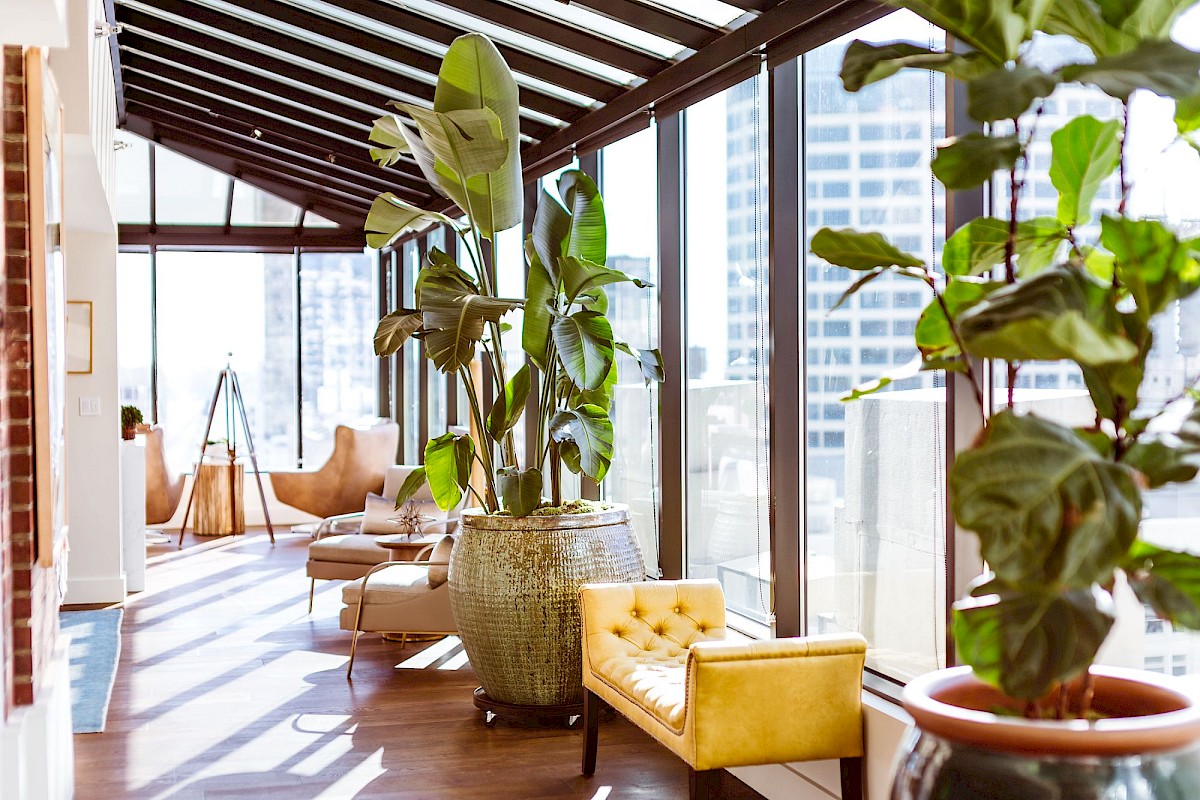 A bright, modern lounge with large windows, green potted plants, yellow chairs, and a cozy seating area along a sunlit corridor.