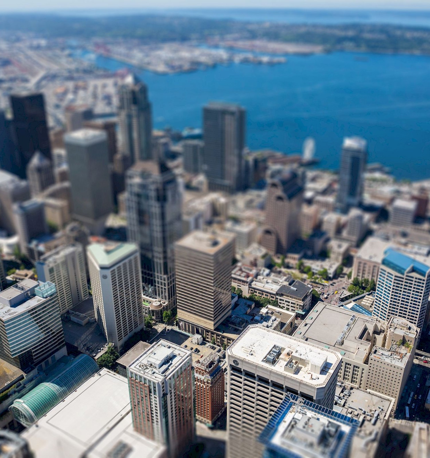 Aerial view of a cityscape with skyscrapers and a waterfront, using tilt-shift to create a miniature effect, with blue waters visible.