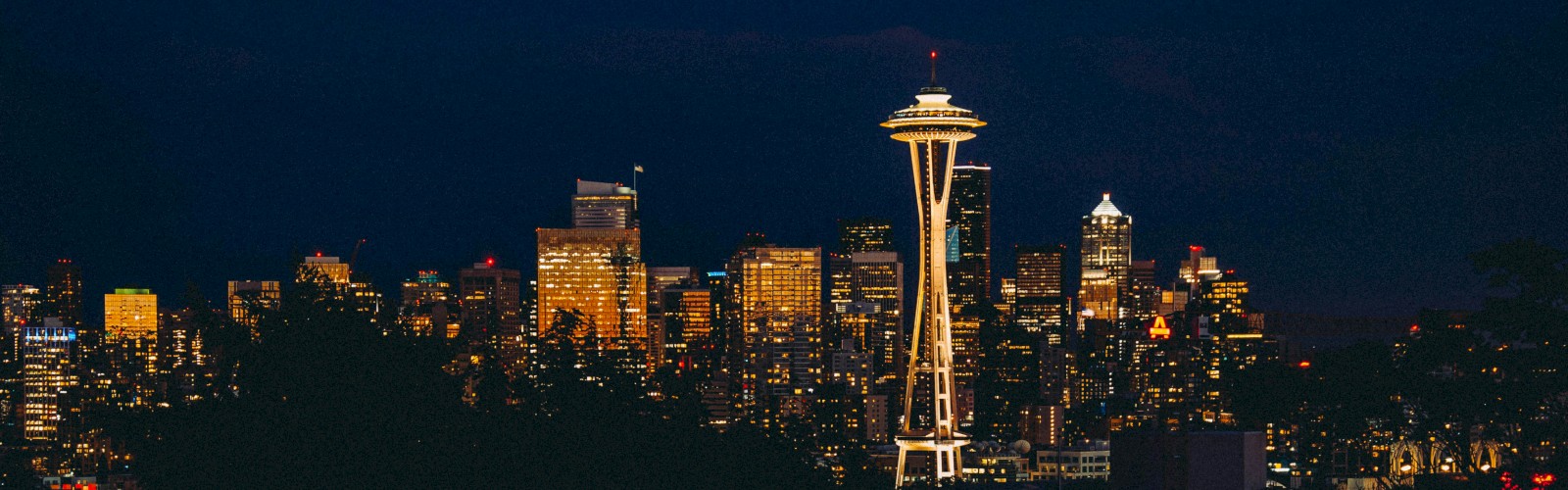 A nighttime cityscape with a bright illuminated Space Needle-like tower standing among dark trees and distant glowing buildings.