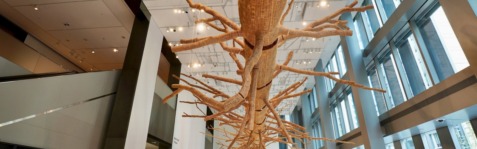 A large, sweeping tree sculpture with bare, twisting branches hangs from the ceiling in a modern, glass-walled lobby with white floors and seating along the sides.