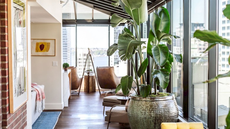 A bright, modern living space with floor-to-ceiling windows, tall leafy plants in ceramic pots, wooden floors, and cozy seating along the balcony view.