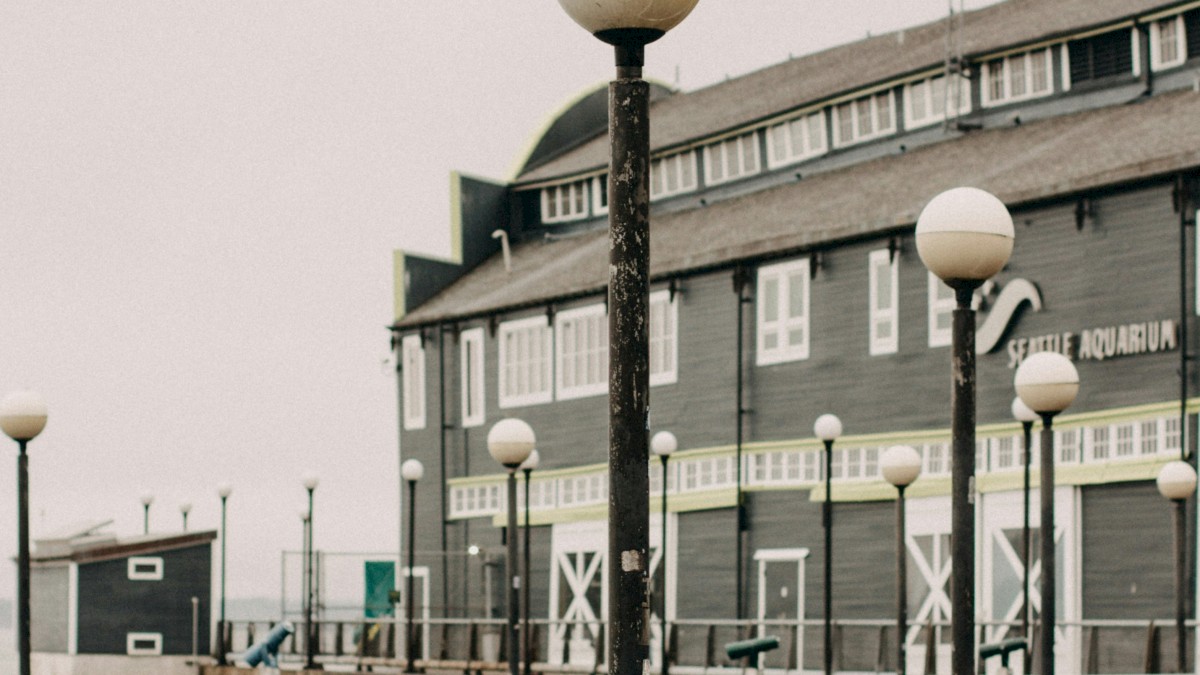 A coastal boardwalk with modern street lamps along a wooden pier, buildings in the background, calm water below, overcast sky.