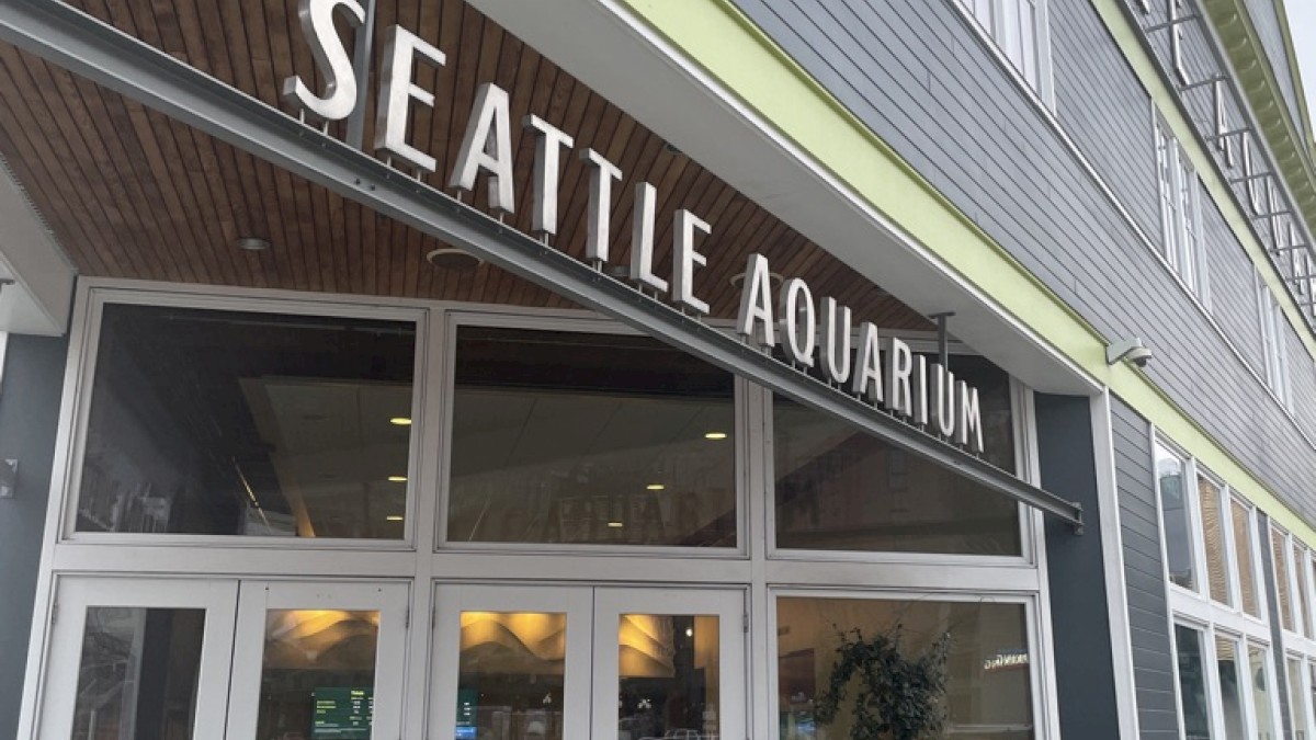 A storefront shows “Seattle Aquarium” signage above glass doors, with a gray exterior and green trim; entrance has planters and large windows.